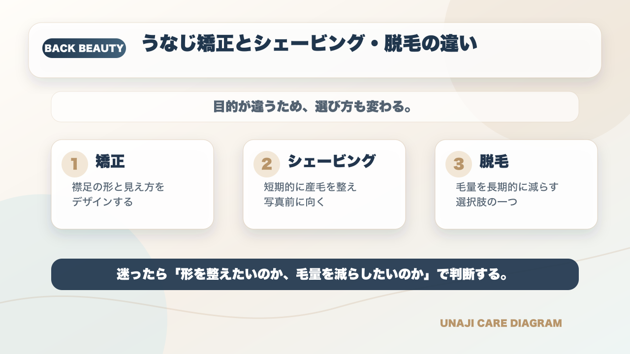【上野エリア】うなじ矯正おすすめサロン決定版|後ろ姿に自信を持つなら専門店ミースへの要点を整理した図解